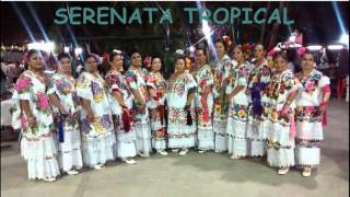 Serenata Tropical Jarana Audio [upl. by Wachtel]