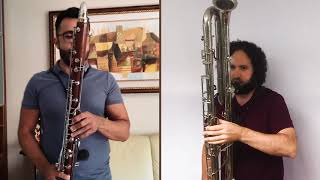 Air from Partita in E minor BWV 830 JS Bach contraalto and contrabass clarinet duo [upl. by Greenes]