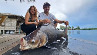 Giant Mekong Catfish amp Siamese Carp Fishing Thailand 2024 BKKGUY [upl. by Eekcaj]