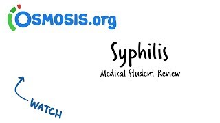 Syphilis  Clinical Presentation [upl. by Legnaesoj]