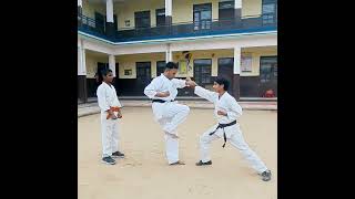 Mae geri front ushiro gerimartialartsgojuryukarate [upl. by Eenahs]