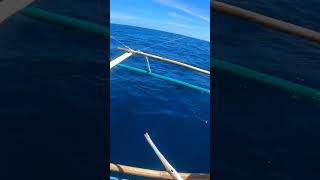 Trumpet fish at bagudlong huli sa sabiki fishing seafood [upl. by Baram454]