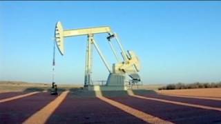 OPEC cuts oil demand forecast [upl. by Hsot]