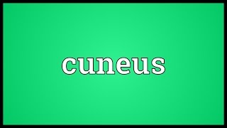 Cuneus Meaning [upl. by Etireuqram945]