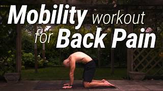 30 Minute Mobility Workout for Lower Back Pain  For Beginners Follow Along [upl. by Ahsiet]