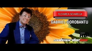 Gabriel Dorbantu Floarea Soarelui [upl. by Puritan245]