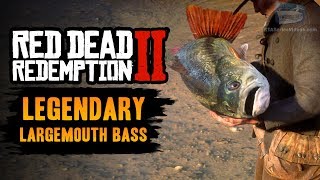 Red Dead Redemption 2 Legendary Fish  Legendary Largemouth Bass [upl. by Midas]