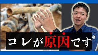 水道水が金属の味をする本当の理由とは？意外な原因が〇〇だった！？ [upl. by Ardehs]