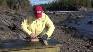 Filleting Pike Technique  boneless pike fillets [upl. by Yemrots34]