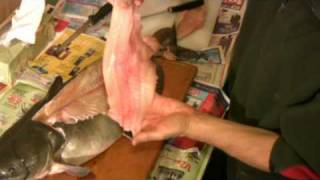 How to Fillet a Catfish  Easy and Simple Catfish Filleting [upl. by Nnailuj]