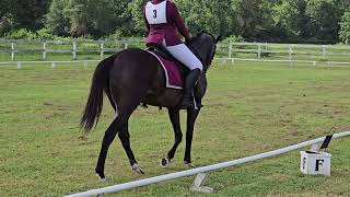 6292024 Ashlyn and Stillwater R Novice Dressage Test for Snowdonia Derby [upl. by Ybot154]