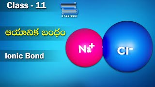 ఆయానిక బంధం  Ionic Bond  Electron Covalent  Chemical Bonding  Chemistry Grade 11  Studious [upl. by Avat524]