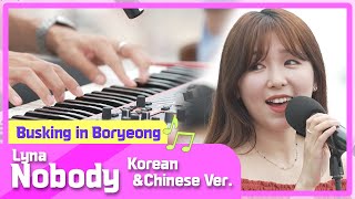 🎶 Lyna  Nobody KoreanampChinese Ver Original Song by Wonder Girls  📍Busking in Boryeong [upl. by Damarra476]