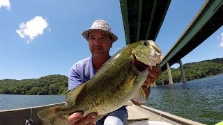 Live Shiners For Big Bass [upl. by Ellett]