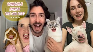 BONGOLA BONGO CHA CHA CHA ANIMAL FACE SWAP WITH TIKTOK  FUNNIEST TIKTOK FACE SWAPS [upl. by Levitt249]