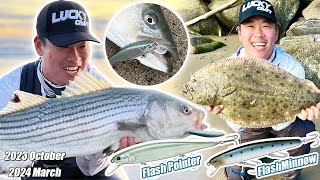 【California Surf Fishing】Flashminnow 110  2023 October to 2024 March Highlights【Benjie Kim】 [upl. by Jeremie362]