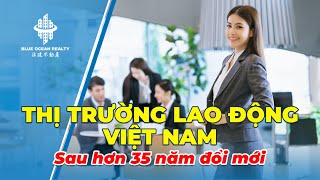 Thị Trường Lao Động Việt Nam 2024 Hơn 524 Triệu Người [upl. by Annovoj910]