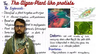 The algae plant like protists  class 11 [upl. by Levison]