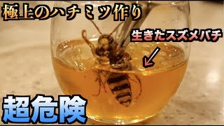 【超危険】蜂蜜の中に生きたスズメバチ入れて極上の蜂蜜を作る！！ [upl. by Raasch]