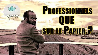 La Vérité sur les Professionnels de lAnimation [upl. by Rue120]