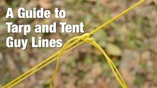 A Guide to Tarp and Tent Guy Lines [upl. by Nosna]