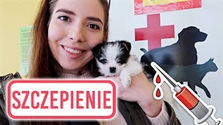 PIERWSZE SZCZEPIENIE 💉 PSA SZCZENIAKA 🐶 [upl. by Annahvas]