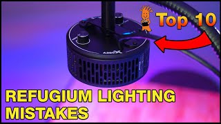 Whats the Best Approach to Using and Choosing the Right Refugium Light [upl. by Scheck299]