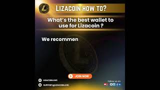 What’s the best wallet to use for Lizacoin riskfreeinvestment cryptocurrency crypto investment [upl. by Yetac]