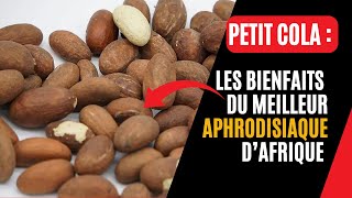 TOUT SAVOIR SUR LE PETIT COLA LAPHRODISIAQUE LE PLUS EFFICACE DAFRIQUE [upl. by Eelyam]