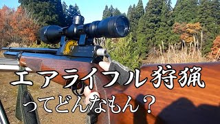 エアライフル、空気銃ってどうなの？ AIR ARMS S410 [upl. by Assej207]