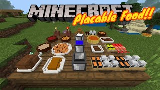 How to Put Your FOOD ON PLATES in Minecraft  Addon  Minecraft [upl. by Dadivitan]