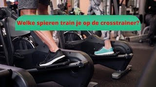 Welke Spieren Train Je Op De Crosstrainer [upl. by Chanda]