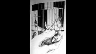 Mrs Frisby and the Rats of NIMH Chapter 15 In the Cage [upl. by Avon]