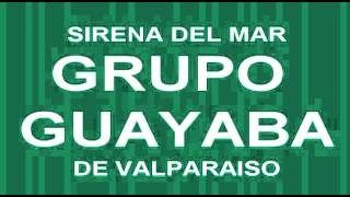 Grupo Guayaba  Sirena Del Mar [upl. by Lull]