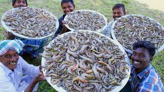 PRAWNS GRAVY Recipe  Villagers cooking Prawns Masala  Shrimp Curry  Healthy Village Food [upl. by Ashford]