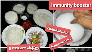 chaddi annam preparationfermented rice preparationImmunity boosterchaddannamచద్దన్నం [upl. by Kerred]