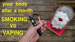 How Smoking vs Vaping Affects Your Lungs ● You Must See This [upl. by Reece888]