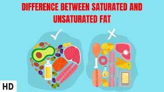 Saturated vs Unsaturated Fats  Whats the Difference [upl. by Am]