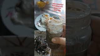 ASMR BREAKFAST  FILIPINO FOOD TUYO DILIS FERMENTED FISH EGG [upl. by Wenona]