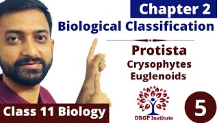 Chapter 2  Biological Classification  Protista  Crysophytes  Euglenoids  Class 11 Part5 [upl. by Balac]