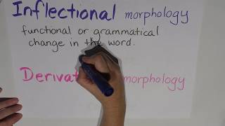 Episode 6  Morphology  Inflectional vs derivational [upl. by Ainolopa]