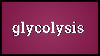 Glycolysis Meaning [upl. by Halsey]