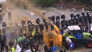 Raw Belgian Farmers Protest Low Milk Prices [upl. by Eiruam45]