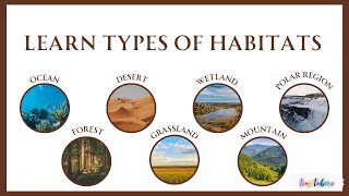 Learn Habitats  Types of Habitat  Ocean  Forest  Desert  Grassland  Wetland  Mountain  Polar [upl. by Souza]