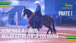 Homenaje a Jumbo Mular Estrella de Colombia  Parte I  TvAgro por Juan Gonzalo Angel [upl. by Norahc]