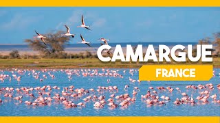 CAMARGUE FRANCE [upl. by Ayotal596]