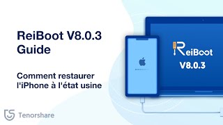 Guide de lutilisateur ReiBoot V803 comment restaurer liPhoneiPad à létat usine [upl. by Macleod]