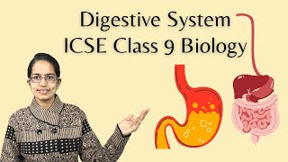 Digestive System  Buccal Cavity Small Intestine Large Intestine  ICSE Class 9 Biology [upl. by Notsae149]