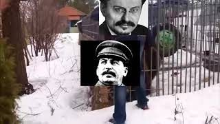 Does Stalinism Exist [upl. by Erialc804]