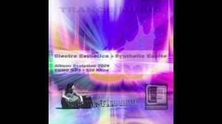 Electro Esthetica  Synthetic Excite [upl. by Boleslaw]